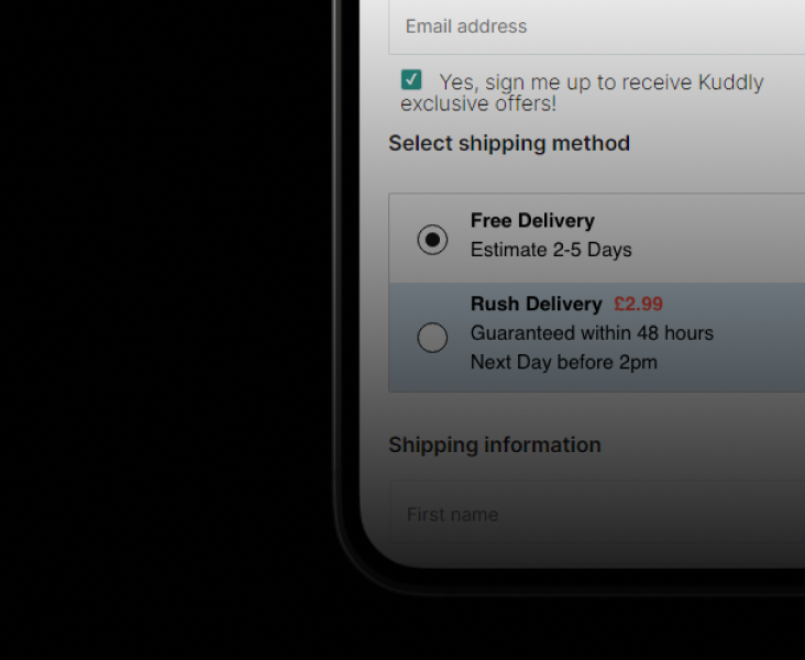 Promoting Express Delivery and Stripe Payment Method